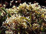20070323 10.jpg